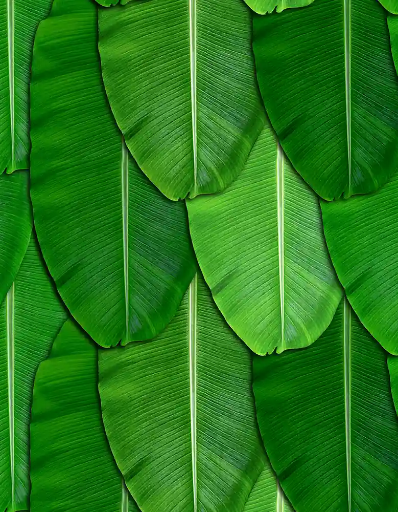 Banana Leaf