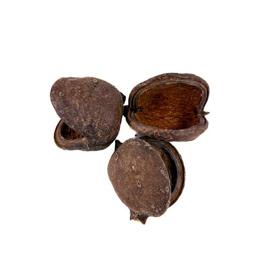 Cane Pods