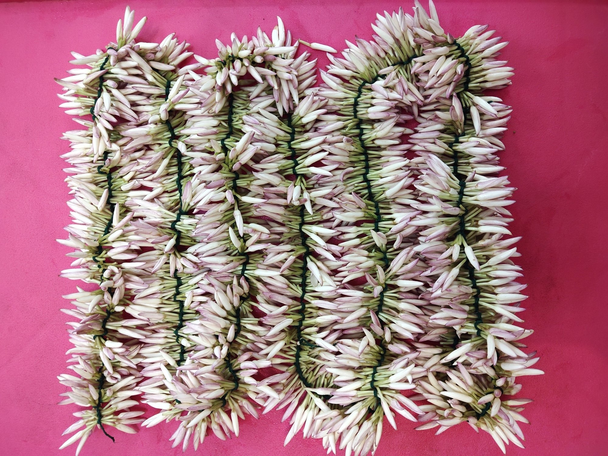 Jaathi