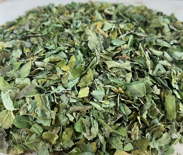 Moringa Leaves Dried