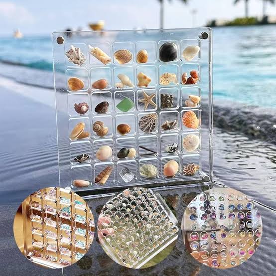 Sea Shell Items Box